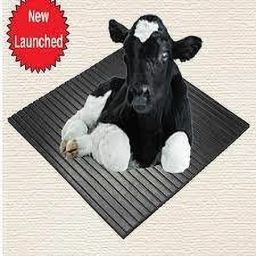 cowmat Cow Mat | Color-Black | 6(ft) x 4 (ft) x 17(mm) 4XL Pet Bed (black) Cow, Dog, Hamster, Guinea Pig, Miniature Pig Pet Mat-image-61