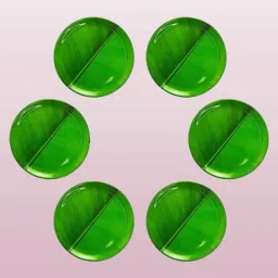 Dishwasher Safe Melamine Beautiful Banana Leaf Print Design Dinner Plate-image-17
