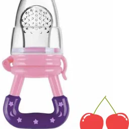 SST Sales Baby Food And Fruit Nibbler & Pacifier Teether BPA Free Nibbler NH461 Feeder-11