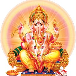 48 cm KDS_VT489 Self Adhesive Sticker-image-34