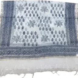 Kota Doria Self Design White Women Dupatta-image-11