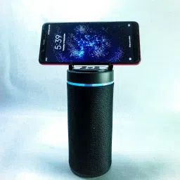 RSSV bluetooth speaker Speaker Mod image 3