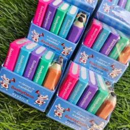 Premium Quality Non-Toxic Eco-Friendly Book Pencil-Shaped Eraser Non-Toxic Eraser-25