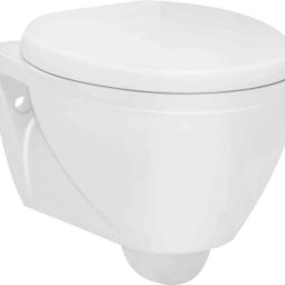 Lara Rimless EWC with Soft Close Cover 2009730SW Western Commode-20