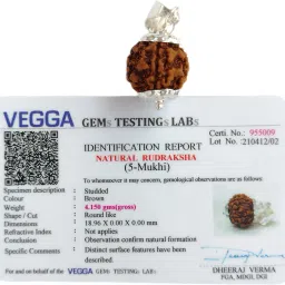 5 Mukhi Rudraksha Pendant Nepali Lab Certified, 100% Original Five/ Face Ruthratcham Bead Size 17-20 mm German Silver Color Brown for Men & Women Wood Pendant-picture-16