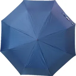 3 FOLD BLUE COLOUR Umbrella-image-18
