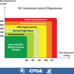 Perfecxa Talking Automatic Digital Blood Pressure Monitor with Widescreen WHO Function Bp Monitor image 4