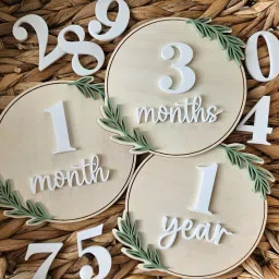Set of 3 Wooden Monthly Milestone Discs (4.5 Inch) Wooden Cut-outs-image-52