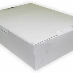 Food Storage Takeaway Box/ Meal Box Cardboard Meals 1000ml, Biryani 1000ml Packaging Box-picture-28