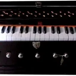 7 Stopper | 39 Keys | harmonium musical instrument |Harmonium for kids TTGDHRJ50 3.25 Octave Hand Pumped Harmonium-image-24