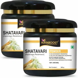 Shatavari Powder Asparagus Racemosus, Buttermilk Root / Satamuli (Pack of 2)-picture-18