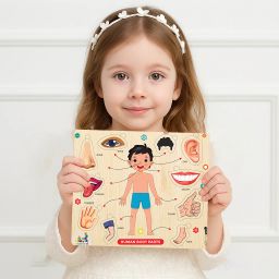 Learning & Educational wooden Human bodypart with best puzzle for kids-14
