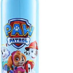Paw Patrol, Non-Insulated Stainless Steel 750 ml Water Bottle-image-31