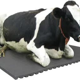 Cow Mat, Feeding Mat,Easy Clean,Waterproof, Raised Edges, Mat for Cows, Buffalo Cow, Dog, Guinea Pig, Hamster, Miniature Pig Pet Mat-image-41