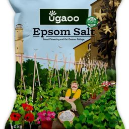 Epsom Salt for Plants Growth - Magnesium Sulphate Organic Fertilizer - 1 Kg Fertilizer-image-68