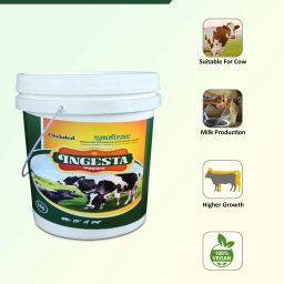 chelated Mineral Mixture Pet Health Supplements (5 kg) Pet Health Supplements image 2