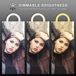 TECHKART 10 Inch Selfie Ring Light is with 3 Light Modes & 10 Adjustable Brightness for Your Choose for Camera | Smartphone|YouTube Video| TikTok |Studio Light with Phone Holder Ring Flash image 3