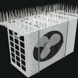 Bird Spike-1