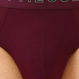 van heusen innerwear Van Heusen Swift Dry & High Stretch Basic Briefs IHIBR1ADP40007-DEEP PURPLE image 3
