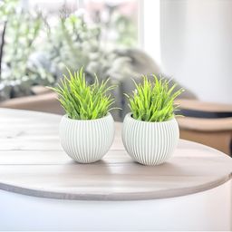Akaar Grey 2 Pieces Fern Artificial Plant With Pot-4