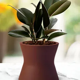 LASAKI Truffle Brown Ceramic Planter-image-73