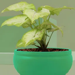 LASAKI Green Ceramic Planter-21