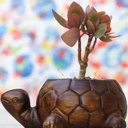 LASAKI Tortoise Big Antique Textured Ceramic Planter-image-33