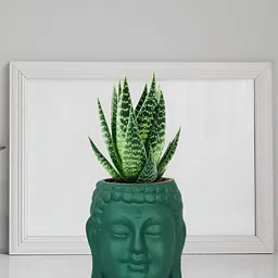 LASAKI Green Textured Ceramic Planter Holder-8