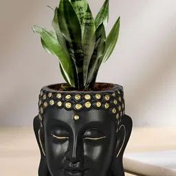 LASAKI Black & Gold-Toned Textured Ceramic Planter With Holder image 2