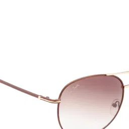 Ted Smith Lens & Aviator Sunglasses with Polarised and UV Protected Lens image 4