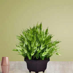 Art Street Green And Brown Artificial Plant-image-9
