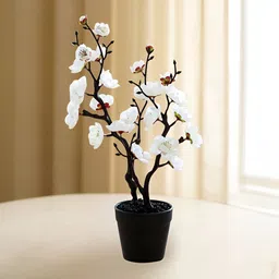Ekhasa White 1 Pieces Artificial Flower With Pot-0
