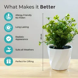 The Better Home Green & White Artificial Grass With Pot image 3