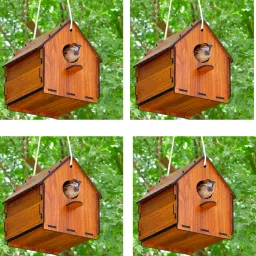 Bird House for Sparrow (Pack of 4) Bird House-picture-27