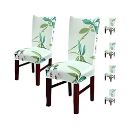 HOUSE OF QUIRK Green 6 Pieces Printed Stretchable Chair Covers-image-31