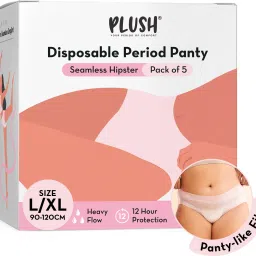 Seamless Disposable Period Panty, Rash Free L/XL Size Sanitary Pad-image-63