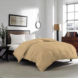 CURIOUS LIFESTYLE Beige Microfiber Heavy Winter 200 GSM Single Bed Comforter-image-98