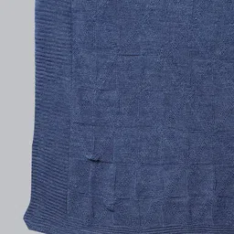 AURELIA Women Blue Self Design Shawl image 2