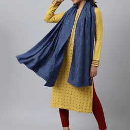 AURELIA Women Blue Self Design Shawl image 4