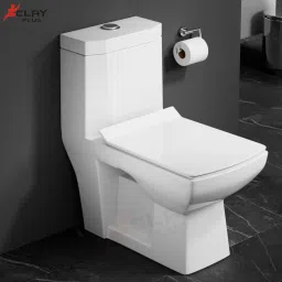 110 Premium Grade Ceramic's One Piece Western Toilet Western Commode-23