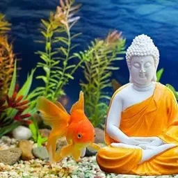 Handcrafted Dhyan Buddha Statue Aquarium Pond Fountains and Water or Fish Tank Laterite Planted Substrate-image-6