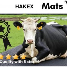 COW MAT-Waterproof Rubber(Mat 8*5 Feet)BPA Free For Horse-AW | Cow, Dog, Hamster, Guinea Pig, Miniature Pig Pet Mat-image-49