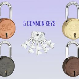Alone Round 65mm Lock for Home Link Gate Shop Shutter, 5 Keys 4 Locks (Pack 4) Padlock-image-72