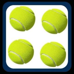 New-New-Tennis ball _313Pack of 6 Tennis Ball-image-67