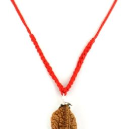 Aj Retail Ek Mukhi (One Face) Rudraksha with Pendant Silk Dori Pendant-image-5