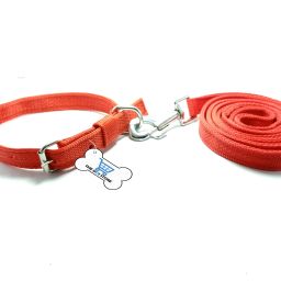 Good Quality Dog Belt Combo Collar with Lead 1.5m Lengthy Dog Collar & Leash Dog Belt Combo of Dog Collar with Dog Leash Specially for Medium Breed Under 30kg Dog Collar & Leash 0.75 inch (Medium) Dog & Cat Collar & Leash-image-9