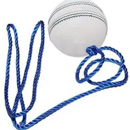 Cricket Hanging Ball for Practice and Bat Knocking with Rope Cricket Training Ball-image-5