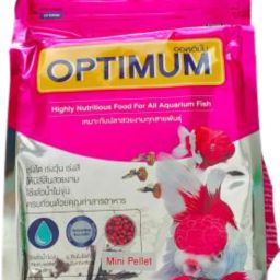 Highly Nutritious Fish Food 500g 0.5 kg Dry New Born Fish Food-image-57