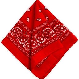Baby Boys, Baby Boys & Baby Girls, Baby Girls, Girls, Men, Men & Women, Women, Boys Printed Bandana-image-55