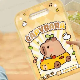 Plastic File Folder-picture-43